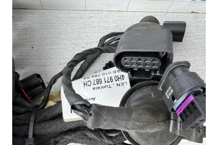 Жгут проводки двери задней левой Audi A8 [4H] 2010-2017 4H0971687CH