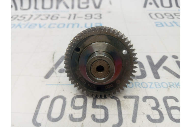 Натягувач ланцюга ГРМ Audi A8 S8 D4 4H 2010-2017 079109564