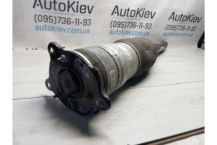 Амортизатор задній, лівий Tesla Model S 2012-2016 600635200C