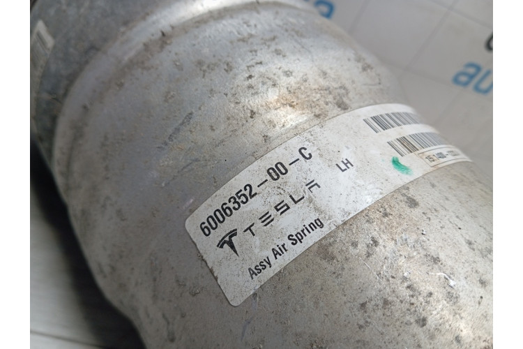 Амортизатор задній, лівий Tesla Model S 2012-2016 600635200C