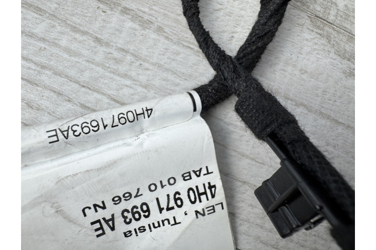 Джгут проводів двері задньої лівої Audi A8 4H 2010-2017 4H0971693AE