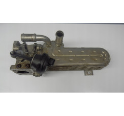 Радіатор системи egr VW Passat [B6] 2005-2010